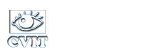 Centre for Visual Information Technology